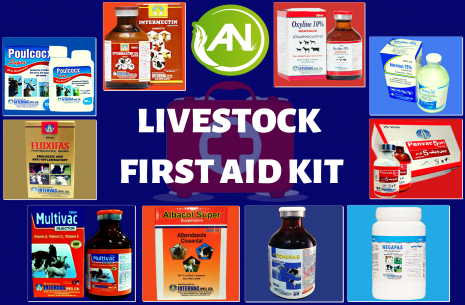 Livestock First Aid Kit!